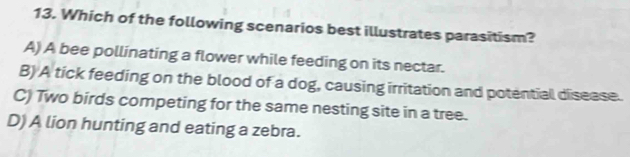 Which of the following scenarios best illustrates parasitism?
A) A bee pollinating a flower while feeding on its nectar.
B) A tick feeding on the blood of a dog, causing irritation and potential disease.
C) Two birds competing for the same nesting site in a tree.
D) A lion hunting and eating a zebra.