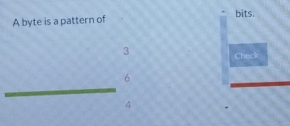 bits. 
A byte is a pattern of
3
Check
6
4