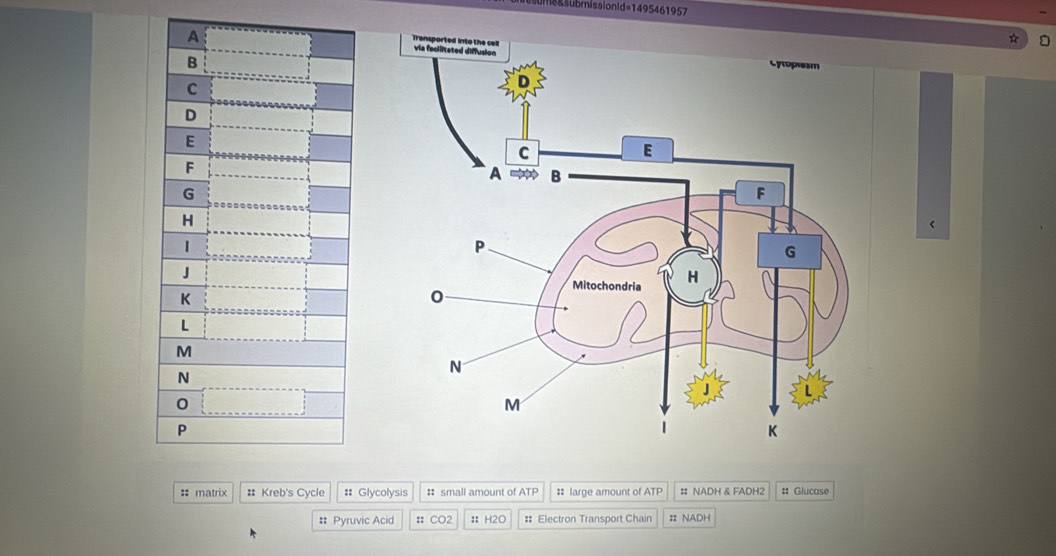 a  ubmission d=1495461957
a 
<
:: matrix #  Kreb's Cycle :: Glycolysis # small amount of ATP # large amount of ATP # NADH & FADH2 :: Glucase
# Pyruvic Acid : CO2 # H2O # Electron Transport Chain : NADH