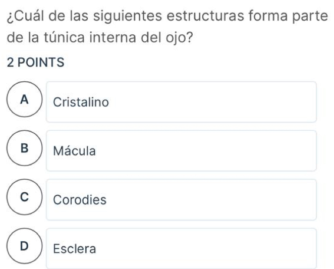 ¿Cuál de las siguientes estructuras forma parte
de la túnica interna del ojo?
2 POINTS
A Cristalino
B Mácula
Corodies
Esclera