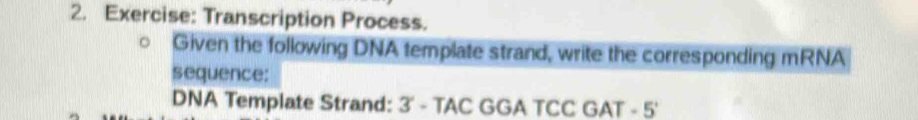 Transcription Process. 
Given the following DNA template strand, write the corresponding mRNA 
sequence: 
DNA Template Strand: 3' - TAC GGA TCC GAT - 5'