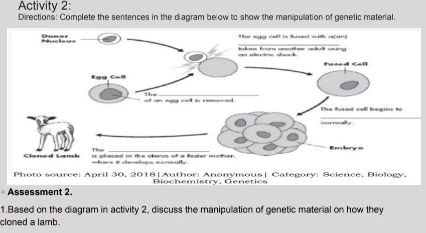 Activity 2: 
Directions: Complete the sentences in the diagram below to show the manipulation of genetic material. 
_ 
Photo source: April 30, 2018|Author: Anonymous| Category: Science, Biology, 
Biochemistry, Genetics 
Assessment 2. 
1.Based on the diagram in activity 2, discuss the manipulation of genetic material on how they 
cloned a lamb.