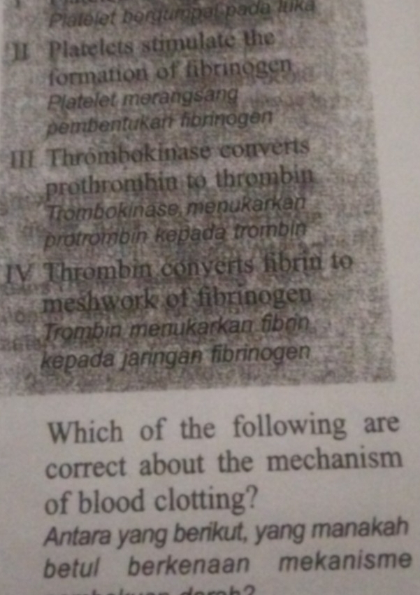 Platelet bergumpal pada luka 
II Platelets stimulate the 
formation of fibrinogen 
Platelet merangsang 
pembentukan fibrinogen 
III Thrómbokinase converts 
prothrombin to thrombin 
Trombokinase, menukarkan 
protrombin kepada trombin 
IV Thrombin converts fibrin to 
meshwork of fibrinogen 
Trombin menukarkan fibrin 
kepada jaringan fibrinogen 
Which of the following are 
correct about the mechanism 
of blood clotting? 
Antara yang berikut, yang manakah 
betul berkenaan mekanisme