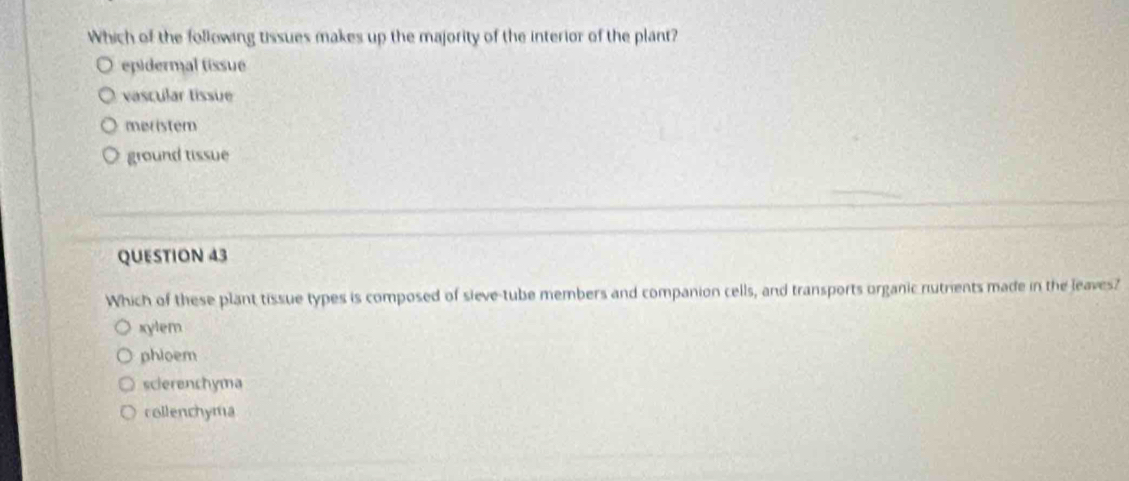 Which of the following tissues makes up the majority of the interior of the plant?
epidermal tissue
vascular tissue
meristem
ground tissue
QUESTION 43
Which of these plant tissue types is composed of sieve-tube members and companion cells, and transports organic nutrients made in the leaves?
xylem
phioem
scierenchyma
collenchyma