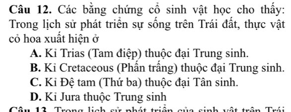 Các bằng chứng cổ sinh vật học cho thấy:
Trong lịch sử phát triển sự sống trên Trái đất, thực vật
cỏ hoa xuất hiện ở
A. Kỉ Trias (Tam điệp) thuộc đại Trung sinh.
B. Kỉ Cretaceous (Phần trầng) thuộc đại Trung sinh.
C. Ki Đệ tam (Thứ ba) thuộc đại Tân sinh.
D. Ki Jura thuộc Trung sinh
Câu 13 Trong lịch sử phát triển của sinh vật trên Trái