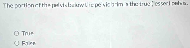 Solved: The portion of the pelvis below the pelvic brim is the true ...