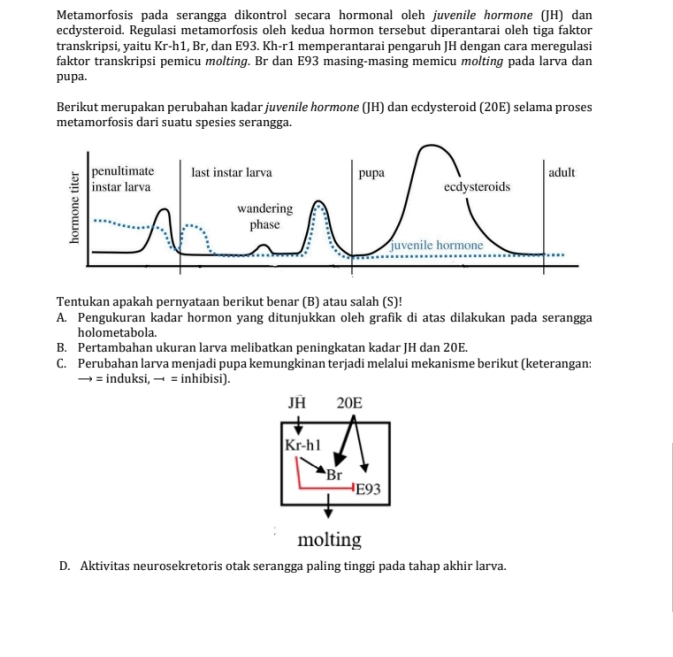 Metamorfosis pada serangga dikontrol secara hormonal oleh juvenile hormone (JH) dan
ecdysteroid. Regulasi metamorfosis oleh kedua hormon tersebut diperantarai oleh tiga faktor
transkripsi, yaitu Kr- h1, Br, dan E93. Kh-r1 memperantarai pengaruh JH dengan cara meregulasi
faktor transkripsi pemicu molting. Br dan E93 masing-masing memicu molting pada larva dan
pupa.
Berikut merupakan perubahan kadar juvenile hormone (JH) dan ecdysteroid (20E) selama proses
metamorfosis dari suatu spesies serangga.
Tentukan apakah pernyataan berikut benar (B) atau salah (S)!
A. Pengukuran kadar hormon yang ditunjukkan oleh grafik di atas dilakukan pada serangga
holometabola.
B. Pertambahan ukuran larva melibatkan peningkatan kadar JH dan 20E.
C. Perubahan larva menjadi pupa kemungkinan terjadi melalui mekanisme berikut (keterangan:
= induksi, → = inhibisi).
JH 20E
Kr-h1
Br
E93
molting
D. Aktivitas neurosekretoris otak serangga paling tinggi pada tahap akhir larva.