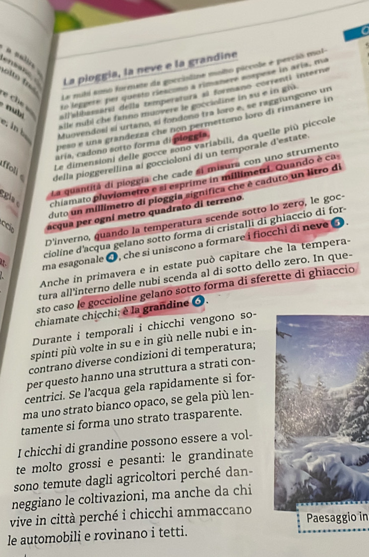 ensone . La pioggia, la neve e la grandine
alto fre a palire .
Le mibi soso formete de gorcistine moo piccole e perció mal
to leppere, per questo riescono a rimanere sospese in aría, mu
e ch  s  ailabbassara della temperatura al formano correnti interne
sile núbl che fanno muovere le gocciline in su e in giu.
peso e una grandezzs che non permettono loro di rimanere in
e. in b
Muovendosí sí urtano, sí fondono tra loro e, se raggiungono un
Le dimensioni delle gocce sono variabili, da quelle più piccole
aría, cadono sotto forma di pioggia,
ffoli della pioggerellina al goccioloní di un temporale d'estate
La quantitá di pioggía che cade si misura con uno strumento
ggia o chiamato pluviometro e si esprime in millimetri. Quando è ca
duto un millimetro di pioggia signífica che è caduto un litro di
ccio acqua per ogní metro quadrato di terreno.
D'ínverno, quando la temperatura scende sotto lo zero, le goc-
ciolíne d'acqua gelano sotto forma di cristalli di ghiaccio di for
ma esagonale 3 , che si uniscono a formare i fiocchi di neve ③.
Anche in primavera e in estate può capitare che la tempera-
tura all'interno delle nubi scenda al di sotto dello zero. In que-
sto casó le goccioline gelano sotto forma di sferette di ghiaccio
chiamate chicchi; è la grandine 3.
Durante i temporali i chicchi vengono so-
spinti più volte in su e in giù nelle nubi e in-
contrano diverse condizioni di temperatura;
per questo hanno una struttura a strati con-
centrici. Se l’acqua gela rapidamente si for-
ma uno strato bianco opaco, se gela più len-
tamente si forma uno strato trasparente.
I chicchi di grandine possono essere a vol-
te molto grossi e pesanti: le grandinate
sono temute dagli agricoltori perché dan-
neggiano le coltivazioni, ma anche da chi
vive in città perché i chicchi ammaccano Paeesaggio in
le automobili e rovinano i tetti.