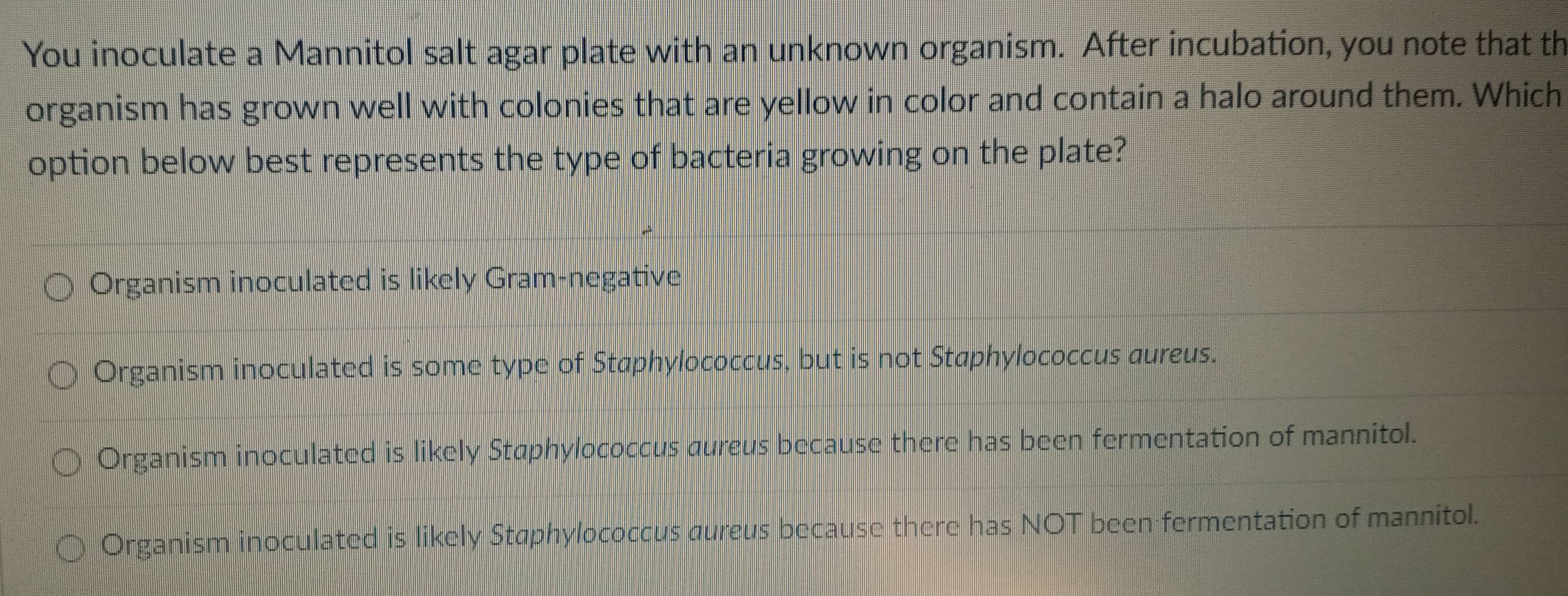 You inoculate a Mannitol salt agar plate with an unknown organism. After incubation, you note that th
organism has grown well with colonies that are yellow in color and contain a halo around them. Which
option below best represents the type of bacteria growing on the plate?
Organism inoculated is likely Gram-negative
Organism inoculated is some type of Staphylococcus, but is not Staphylococcus aureus.
Organism inoculated is likely Staphylococcus aureus because there has been fermentation of mannitol.
Organism inoculated is likely Staphylococcus aureus because there has NOT been fermentation of mannitol.