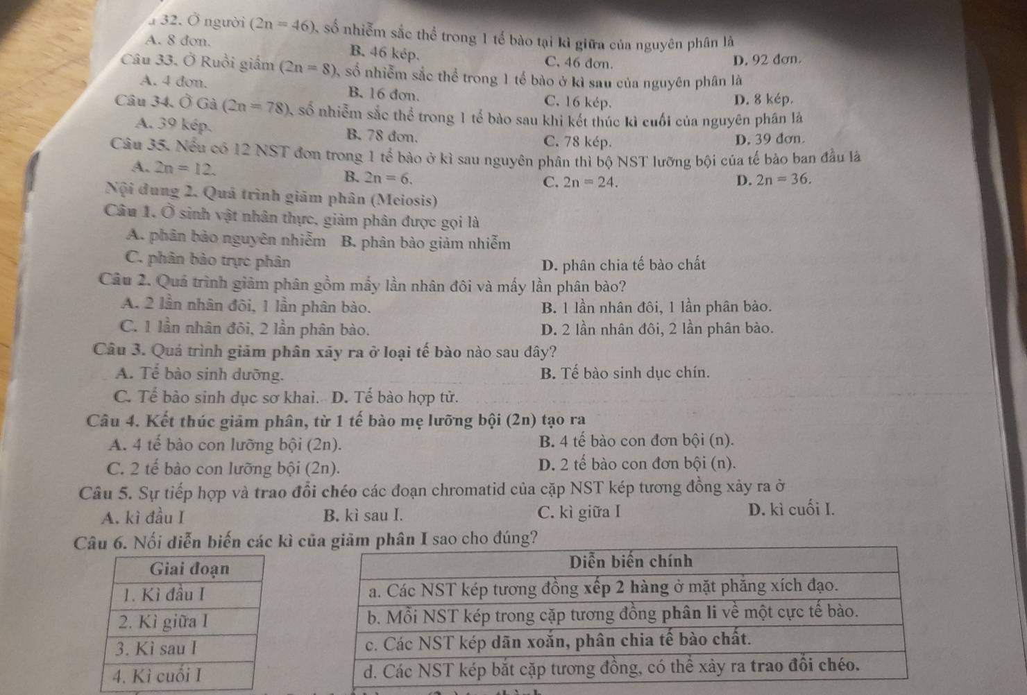 4 32. Ở người (2n=46) , số nhiễm sắc thể trong 1 tế bào tại kì giữa của nguyên phân là
A. 8 don. B. 46 kép. C. 46 đơn.
D. 92 dơn.
Câu 33. Ở Ruồi giấm (2n=8) 2, số nhiễm sắc thể trong 1 tế bào ở kì sau của nguyên phân là
A. 4 don. B. 16 đơn.
C. 16 kép. D. 8 kép.
Câu 34, Ở Gà (2n=78) số nhiễm sắc thể trong 1 tể bào sau khi kết thúc kì cuối của nguyên phân là
A. 39 kép. B. 78 dơn.
C. 78 kép. D. 39 đơn.
Câu 35. Nếu có 12 NST đơn trong 1 tể bào ở kì sau nguyên phân thì bộ NST lưỡng bội của tế bào ban đầu là
A. 2n=12.
B. 2n=6. D. 2n=36.
C. 2n=24.
Nội dung 2. Quả trình giảm phân (Meiosis)
Câu 1, Ở sinh vật nhân thực, giảm phân được gọi là
A. phân bảo nguyên nhiễm B. phân bào giảm nhiễm
C. phân bào trực phân
D. phân chia tế bào chất
Câu 2. Quả trình giảm phân gồm mấy lần nhân đôi và mấy lần phân bào?
A. 2 lần nhân đôi, 1 lần phân bào. B. 1 lần nhân đôi, 1 lần phân bào.
C. 1 lần nhân đôi, 2 lần phân bào. D. 2 lần nhân đôi, 2 lần phân bào.
Câu 3. Quá trình giảm phân xãy ra ở loại tế bào nào sau đây?
A. Tể bào sinh dưỡng. B. Tế bào sinh dục chín.
C. Tế bào sinh dục sơ khai. D. Tế bào hợp tử.
Câu 4. Kết thúc giảm phân, từ 1 tế bào mẹ lưỡng bội (2n) tạo ra
A. 4 tế bào con lưỡng bội (2n). B. 4 tế bào con đơn bội (n).
C. 2 tế bào con lưỡng bội (2n). D. 2 tế bào con đơn bội (n).
Câu 5. Sự tiếp hợp và trao đổi chéo các đoạn chromatid của cặp NST kép tương đồng xây ra ở
A. kì đầu I B. kì sau I. C. kì giữa I D. kì cuối I.
Câu 6. Nối diễn biến các kì cg?