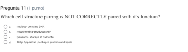 Pregunta 11 (1 punto)
Which cell structure pairing is NOT CORRECTLY paired with it’s function?
a nucleus- contains DNA
b mitochondria- produces ATP
c lysosome- storage of nutrients
d Golgi Apparatus- packages proteins and lipids
