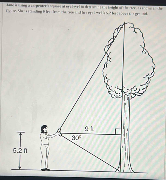 Jane is using a carpenter’s square at eye level to determine the height of the tree, as shown in the
figure. She is standing 9 feet from the tree and her eye level is 5.2 feet above the ground.