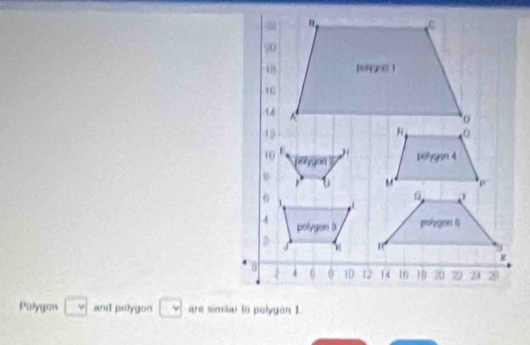 Palygon and polygon