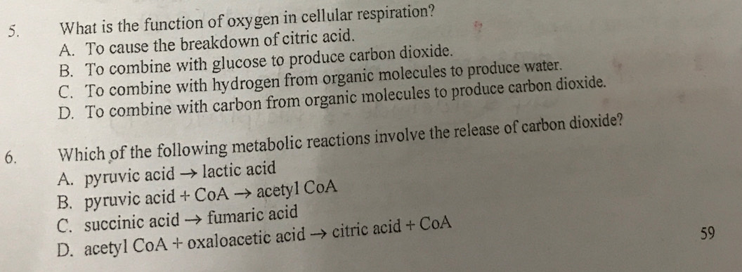 What is the function of oxygen in cellular respiration?
A. To cause the breakdown of citric acid.
B. To combine with glucose to produce carbon dioxide.
C. To combine with hydrogen from organic molecules to produce water.
D. To combine with carbon from organic molecules to produce carbon dioxide.
6. Which of the following metabolic reactions involve the release of carbon dioxide?
A. pyruvic acid → lactic acid
B. pyruvic acid + CoA → acetyl CoA
C. succinic acid → fumaric acid
D. acetyl CoA + oxaloacetic acid → citric acid + CoA
59