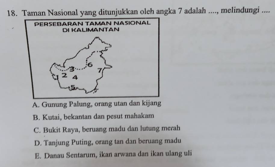 Taman Nasional yang ditunjukkan oleh angka 7 adalah ...., melindungi ....
A. Gunung Palung, orang utan dan kijang
B. Kutai, bekantan dan pesut mahakam
C. Bukit Raya, beruang madu dan lutung merah
D. Tanjung Puting, orang tan dan beruang madu
E. Danau Sentarum, ikan arwana dan ikan ulang uli