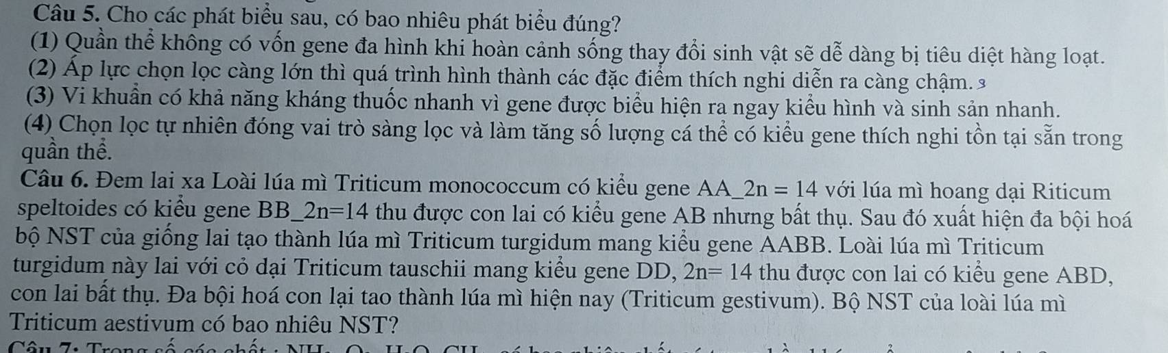 Cho các phát biểu sau, có bao nhiêu phát biểu đúng? 
(1) Quần thể không có vốn gene đa hình khi hoàn cảnh sống thay đổi sinh vật sẽ dễ dàng bị tiêu diệt hàng loạt. 
(2) Áp lực chọn lọc càng lớn thì quá trình hình thành các đặc điểm thích nghi diễn ra càng chậm. 3 
(3) Vi khuẩn có khả năng kháng thuốc nhanh vì gene được biểu hiện ra ngay kiểu hình và sinh sản nhanh. 
(4) Chọn lọc tự nhiên đóng vai trò sàng lọc và làm tăng số lượng cá thể có kiểu gene thích nghi tồn tại sẵn trong 
quần thể. 
Câu 6. Đem lai xa Loài lúa mì Triticum monococcum có kiểu gene AA 2n=14 với lúa mì hoang dại Riticum 
speltoides có kiểu gene BB. 2n=14 thu được con lai có kiểu gene AB nhưng bất thụ. Sau đó xuất hiện đa bội hoá 
bộ NST của giống lai tạo thành lúa mì Triticum turgidum mang kiểu gene AABB. Loài lúa mì Triticum 
turgidum này lai với cỏ dại Triticum tauschii mang kiểu gene DD, 2n=14 thu được con lai có kiểu gene ABD, 
con lai bất thụ. Đa bội hoá con lại tao thành lúa mì hiện nay (Triticum gestivum). Bộ NST của loài lúa mì 
Triticum aestivum có bao nhiêu NST?