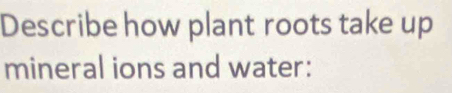 Describe how plant roots take up 
mineral ions and water: