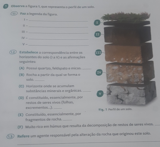 Observa a figura 1, que representa o perfil de um solo. 
1.1 Faz a legenda da figura. 
_ |- 
I 
_ ||- 
111- _ 
TI 
IV- _ 
_ V- 
1.2 Estabelece a correspondência entre os 11I 
horizontes do solo (I a V) e as afirmações 
seguintes: 
(A) Possui quartzo, feldspato e micas._ 
(B) Rocha a partir da qual se forma o IV 
solo._ 
(C) Horizonte onde se acumulam 
substâncias minerais e orgânicas._ 
(D) É constituído, essencialmente, por 
restos de seres vivos (folhas, 
excrementos...)._ 
Fig. 1 Perfil de um solo. 
(E) Constituído, essencialmente, por 
fragmentos de rocha._ 
(F) Muito rico em húmus que resulta da decomposição de restos de seres vivos._ 
1.3 Refere um agente responsável pela alteração da rocha que originou este solo. 
_