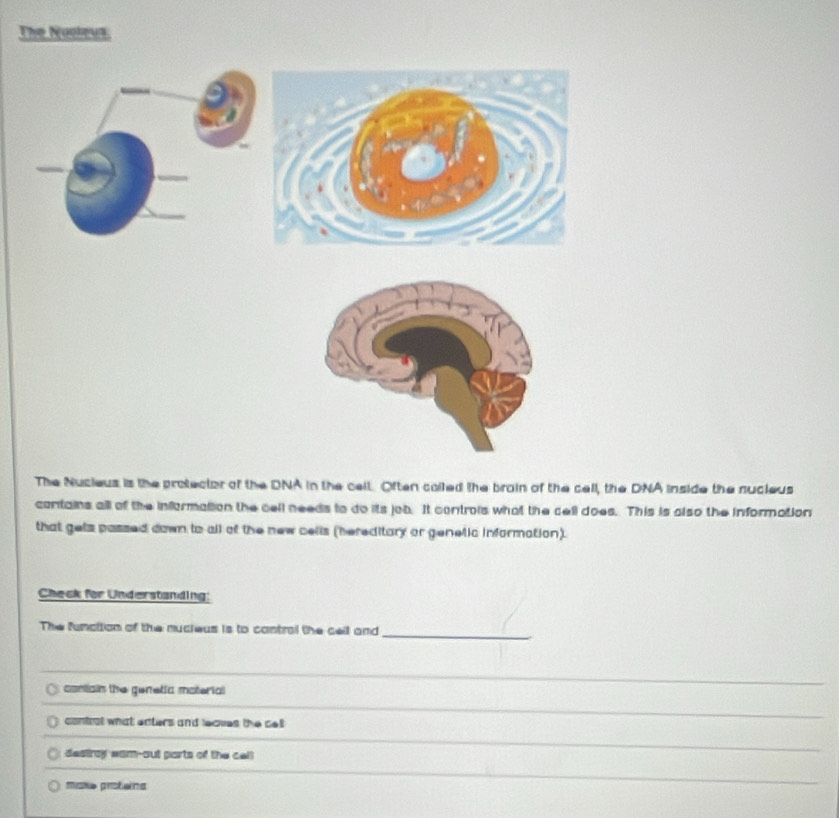 The Nooleus.
The Nucieus is the protector of the DNA in the cell. Often colled the broin of the cell, the DNA inside the nucieus
contains all of the information the cell needs to do its job. It controis what the dell does. This is also the information
that gets passed down to all of the new cells (hereditary or genetic information).
Check for Understanding:
The functtion of the nucieus is to contral the cell and
_
contiain the genetia material
_
contral what enters and leaves the ce 
_
destray wam-out parts of the cell
miske proteins