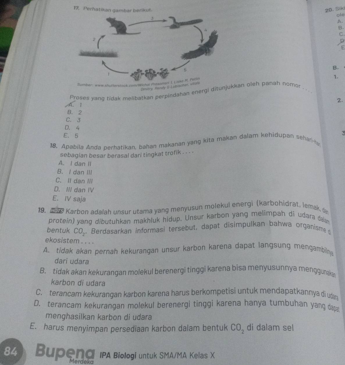 Perhatikan gambar berikut. 20. Sik
ole
A.
B.
C
E
B.
1.
Sumber: www.shutterstock.com/Wichai Prosomsri I, Liska M, Petlin
Dmitry, Rendy G Lubischer, vi
Proses yang tidak melibatkan perpindahan energi ditunjukkan oleh panah nomor
. .
2.
A. 1
B. 2
C. 3
D. 4
E. 5
3
18. Apabila Anda perhatikan, bahan makanan yang kita makan dalam kehidupan sehari-ha
sebagian besar berasal dari tingkat trofik . . . .
A. I dan II
B. I dan III
C. II dan III
D. III dan IV
E. IV saja
19.  Karbon adalah unsur utama yang menyusun molekul energi (karbohidrat, lemak, dan
protein) yang dibutuhkan makhluk hidup. Unsur karbon yang melimpah di udara dalam
bentuk CO_2. Berdasarkan informasi tersebut, dapat disimpulkan bahwa organisme di
ekosistem . . . .
A. tidak akan pernah kekurangan unsur karbon karena dapat langsung mengambilnya
dari udara
B. tidak akan kekurangan molekul berenergi tinggi karena bisa menyusunnya menggunakar
karbon di udara
C. terancam kekurangan karbon karena harus berkompetisi untuk mendapatkannya di udara
D. terancam kekurangan molekul berenergi tinggi karena hanya tumbuhan yang dapat
menghasilkan karbon di udara
E. harus menyimpan persediaan karbon dalam bentuk CO_2 di dalam sel
84 Bupend IPA Biologi untuk SMA/MA Kelas X
Merdeka