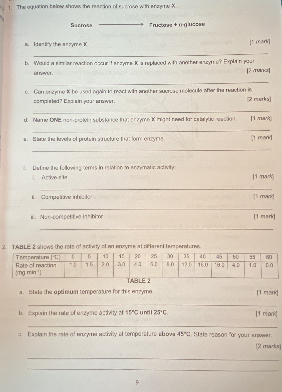 The equation below shows the reaction of sucrose with enzyme X.
Sucrose Fructose + α-glucose
a. Identify the enzyme X. [1 mark]
_
b. Would a similar reaction occur if enzyme X is replaced with another enzyme? Explain your
answer.
[2 marks]
_
c. Can enzyme X be used again to react with another sucrose molecule after the reaction is
completed? Explain your answer. [2 marks]
_
d. Name ONE non-protein substance that enzyme X might need for catalytic reaction. [1 mark]
_
e. State the levels of protein structure that form enzyme. [1 mark]
_
f. Define the following terms in relation to enzymatic activity:
i. Active site [1 mark]
_
ii. Competitive inhibitor [1 mark]
_
iii. Non-competitive inhibitor [1 mark]
_
2. TABLE 2 shows the rate of activity of an enzyme at different temperatures.
a. State the optimum temperature for this enzyme. [1 mark]
_
b. Explain the rate of enzyme activity at 15°C until 25°C. [1 mark]
_
c. Explain the rate of enzyme activity at temperature above 45°C. State reason for your answer.
[2 marks]
_
_
9