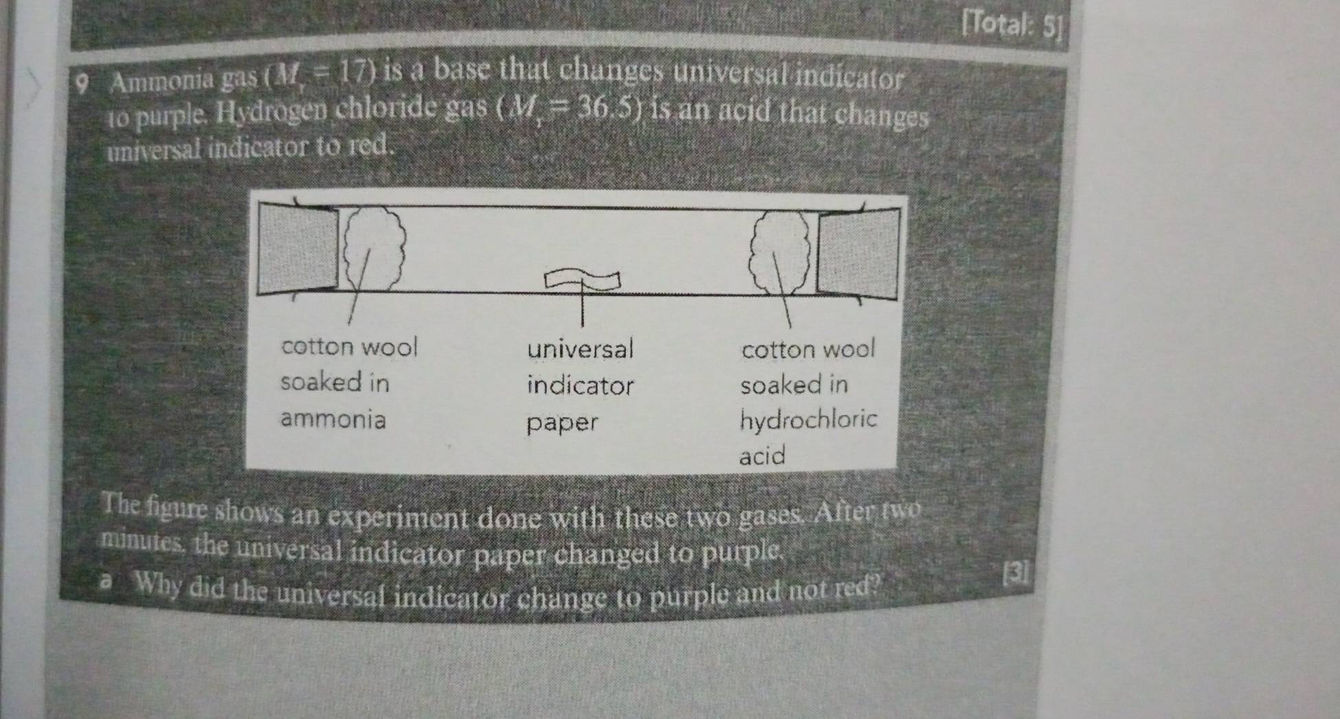 [Total: 5] 
9 Ammonia gas (M=17) is a base that changes universal indicator 
to purple. Hydrogen chloride gas (M=36.5) is an acid that changes 
universal indicator to red. 
The figure shows an experiment done with these two gases. After two
minutes, the universal indicator paper changed to purple. 
a Why did the universal indicator change to purple and not red?