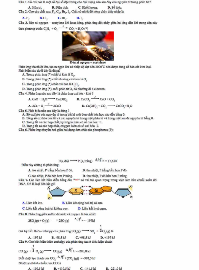 Số oxi hóa là một số đại số đặc trưng cho đại lượng nào sau đây của nguyên tử trong phân tử ?
A. Hỏa trj. B. Điện tích. C. Khối lượng. D. Số hiệu.
Câu 2. Cho các chất sau F_2,Cl_2,Br_2,l Chất có nhiệt độ nóng chảy thắp nhấp là
A. F_2 B. Cl_2. C. Br_2 D. I_2
Cầu 3. Đèn xỉ ogygen - acetylene khi hoạt động, phản ứng đốt cháy giữa hai ống dẫn khí trong đèn xảy
theo phương trình: C_2H_2+O_2to CO_2+H_2O(^*)
Đèn xì ogygen - acetylene
Phản ứng tỏa nhiệt lớn, tạo ra ngọn lửa có nhiệt độ đạt đến 3000°C : nên được dùng để hàn cắt kim loại.
Phát biểu nào dưới đây là đúng?
A. Trong phản mg(^*) ) chất bị khử là O_y
B. Trong phản ứng (*) chất nhường electron là O_2^(·)
C. Trong phản ứng (*) chất oxi hóa là C_2H_2
D. Trong phản ứng (*), mỗi phân tử O_2 đã nhường đi 4 electron.
Câu 4. Phản ứng nào sau đây là phản ứng oxi hóa - khử ?
A. CaO+H_2Oto Ca(OH)_2 B. CaCO_3to CaO+CO_2
A. 2Ca+O_2to 2CaO D. Ca(OH)_2+CO_2to CaCO_3+H_2O
Câu 5. Phát biểu nào sau đây là đúng ?
A. Số oxi hóa của nguyên tử trong bắt kì một đơn chất hóa học nào đều bằng 0.
B. Tổng số oxi hóa của tắt cả các nguyên tử trong một phân tử và trong một ion đa nguyên tử bằng 0.
C. Trong tất cả các hợp chất, hydrogen luộn có số oxi hó a+1.
D. Trong tất cả các hợp chất, oxygen luôn có sổ oxi hóa -2.
Cầu 6. Phản ứng chuyển hoá giữa hai dạng đơn chất của phosphorus (P):
P(s,di)to P(s, trắng) △ ,H^(+=17,6kJ^circ)=17,6kJ
Điều này chứng tỏ phản ứng:
A. tỏa nhiệt, P trắng bền hơn P đỏ. B. thu nhiệt, P trắng bền hơn P đỏ.
C. tỏa nhiệt, P đỏ bền hơn P trắng. D. thu nhiệt, P đỏ bền hơn P trắng.
Câu 7. Các liên kết biểu diễn bằng dầu “***” có vai trò quan trọng trong việc làm bền chuỗi xoắn đôi
DNA. Đó là loại liên kết gi?
A. Liên kết ion. B. Liên kết cộng hoá trị có cực.
C. Liên kết cộng hoá trị không cực. D. Liên kết hydrogen.
Câu 8. Phản ứng giữa sulfur dioxide và oxygen là tỏa nhiệt
2SO_2(g)+O_2(g)to 2SO_3(g) △ _1H_2^((circ)s=-197kJ
Giá trị biến thiên enthalpy của phản ứng SO_3)(g)to SO_2+ 1/2 O_2(g)li
A. -197 kJ B. -98 5 kJ C. +9 8,5 kJ D. +197 kJ
Câu 9. Cho biết biến thiên enthalpy của phân ứng sau ở điều kiện chuẩn
CO(g)+ 1/2 O_2(g)to CO_2(g)△ H_2^((circ)s=-283,0kJ
Biết nhiệt tạo thành của CO_2):△ ,H_2^((circ),(CO_2)(g))=-393,5kJ
Nhiệt tạo thành chuẩn của CO là
A. -110.5 kJ B.+110.5kJ C-|4|-5k| D. . 2210 kJ