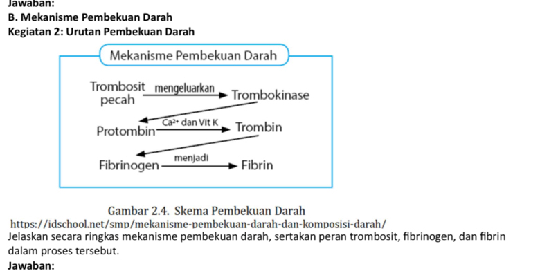 Jawaban:
B. Mekanisme Pembekuan Darah
Kegiatan 2: Urutan Pembekuan Darah
Gambar 2.4. Skema Pembekuan Darah
https://idschool.net/smp/mekanisme-pembekuan-darah-dan-komposisi-darah/
Jelaskan secara ringkas mekanisme pembekuan darah, sertakan peran trombosit, fibrinogen, dan fibrin
dalam proses tersebut.
Jawaban: