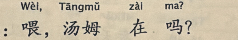 Wèi, Tāng mǔ zài ma? 
：， ？