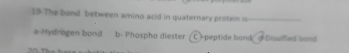 The bond between amino acid in quaternary protein is
a-Hydrogen bond b- Phospho diester C )peptide bond a Disulfied band
,