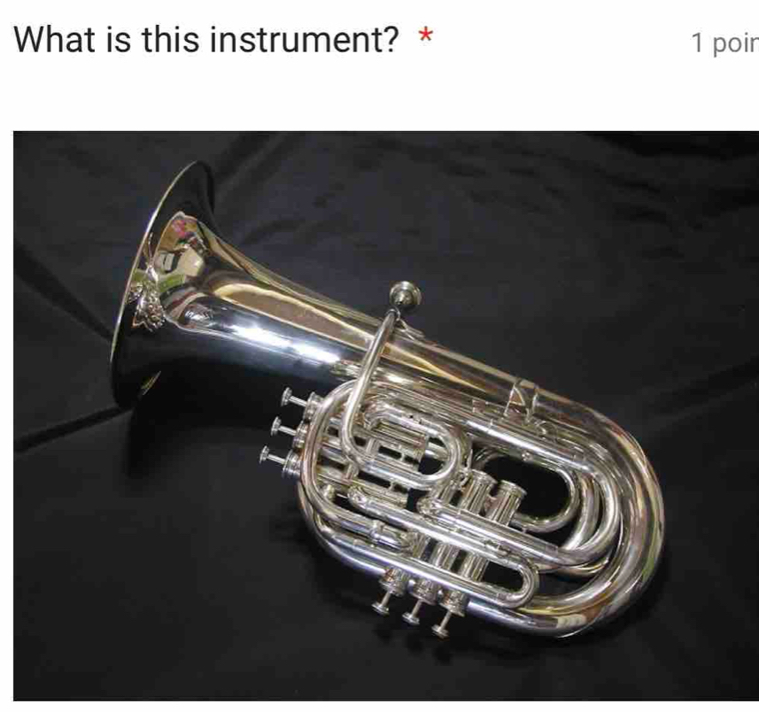 What is this instrument? * 1 poir