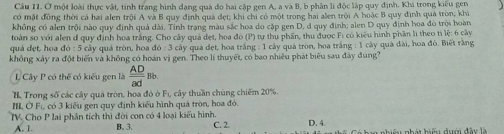 Ở một loài thực vật, tính trạng hình dạng quá do hai cặp gen A, a và B, b phân li độc lập quy định. Khi trong kiểu gen
có mặt đồng thời cả hai alen trội A và B quy định quả dẹt; khi chỉ có một trong hai alen trội A hoặc B quy định quả tròn; khi
không có alen trội nào quy định quả dài. Tính trạng màu sắc hoa do cặp gen D, d quy định; alen D quy định hoa đó trội hoàn
toàn so với alen d quy định hoa trắng. Cho cây quả dẹt, hoa đỏ (P) tự thụ phấn, thu được F_1 có kiểu hình phân li theo ti lệ: 6 cây
quả dẹt, hoa đỏ : 5 cây quả tròn, hoa đỏ : 3 cây quả dẹt, hoa trắng : 1 cây quả tròn, hoa trắng : 1 cây quả dài, hoa đỏ. Biết rằng
không xảy ra đột biến và không có hoán vị gen. Theo lí thuyết, có bao nhiêu phát biểu sau đây đung?
I. Cây P có thế có kiểu gen là  AD/ad Bb. 
II. Trong số các cây quả tròn, hoa đỏ ở F₁, cây thuần chúng chiếm 20%.
H. OF_1 , có 3 kiểu gen quy định kiểu hình quả tròn, hoa đỏ.
IV. Cho P lai phân tích thì đời con có 4 loại kiểu hình.
A. 1. B. 3.
C. 2. D. 4.
C Có hao nhiêu phát biểu dưới đây là