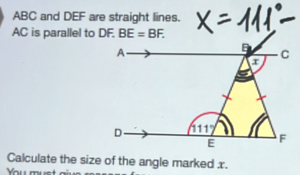 ABC and DEF are straight lines.
AC is parallel to DF.
Calculate the size of the angle marked x.