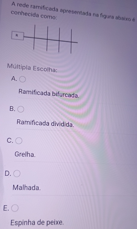 A rede ramificada apresentada na figura abaixo é
conhecida como:
R
Múltipla Escolha:
A.
Ramificada bifurcada.
B.
Ramificada dividida.
C.
Grelha.
D.
Malhada.
E.
Espinha de peixe.