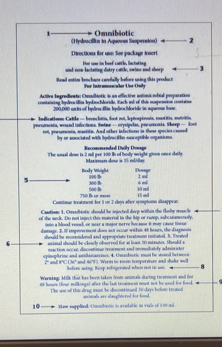 Omnibiotic
(Hydrocillin in Aqueous Suspension) 2
Directions for use: See package insert
For use in beef cattle, lactating
and non-lactating dairy cattle, swine and sheep
3
Read entire brochure carefully before using this product
For Intramuscular Use Only
Active Ingredients: Omnibiotic is an effective antimicrobial preparation
containing hydrocillin kydrochloride. Each ml of this suspension contains
200,000 units of hydrocillin hydrochloride in aqueous base.
Indications: Cattle — bronchitis, foot rot, leptospirosis, mastitis, metritis,
pneumonia, wound infections. Swine — erysipelas, pneumonia. Sheep — foot
rot, pneumonia, mastitis. And other infections in these species caused
by or associated with hydrocillin-susceptible organisms.
Recommended Daily Dosage
The usual dose is 2 ml per 100 lb of body weight given once daily.
Maximum dose is 15 ml/day.
Body Weight Dosage
5
100 lb 2 ml
300 lb 6 ml
500 lb 10 ml
750 lb or more 15 ml
Continue treatment for 1 or 2 days after symptoms disappear.
Caution: 1. Omnibiotic should be injected deep within the fleshy muscle
of the neck. Do not inject this material in the hip or rump, subcutaneously,
into a blood vessel, or near a major nerve because it may cause tissue
damage. 2. If improvement does not occur within 48 hours, the diagnosis
should be reconsidered and appropriate treatment initiated. 3. Treated
6 animal should be closely observed for at least 30 minutes. Should a
reaction occur, discontinue treatment and immediately administer
epinephrine and antihistamines. 4. Omnibiotic must be stored between
2° and 8°C(36° and 46°F). Warm to rom temperature and shake well
before using. Keep refrigerated when not in use. 8
Warning: Milk that has been taken from animals during treatment and for
48 hours (four milkings) after the last treatment must not be used for food. 9
The use of this drug must be discontinued 30 clays before treated
animals are slaughtered for food.
10 How supplied: Omnibiotic is available in vials of 100 ml.