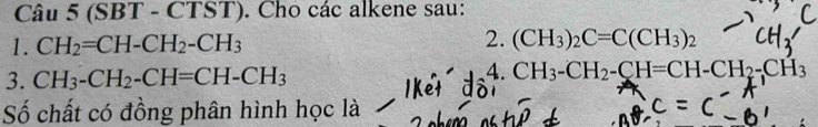 (SBT - CTST). Cho các alkene sau: 
1. CH_2=CH-CH_2-CH_3 2. (CH_3)_2C=C(CH_3)_2
3. CH_3-CH_2-CH=CH-CH_3 4. CH_3-CH_2-CH=CH-CH_2-CH_3
Số chất có đồng phân hình học là