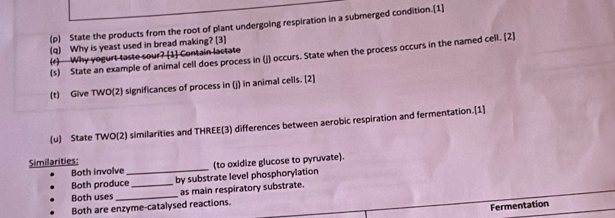 State the products from the root of plant undergoing respiration in a submerged condition.[1] 
(q) Why is yeast used in bread making? [3] 
(r) Why yogurt taste sour? [1] Contain lactate (s) State an example of animal cell does process in (j) occurs. State when the process occurs in the named cell. [2] 
(t) Give TWO(2) significances of process in (j) in animal cells. [2] 
(u) State TWO(2) similarities and THREE(3) differences between aerobic respiration and fermentation.[1] 
Similarities: 
Both involve _(to oxidize glucose to pyruvate). 
Both produce by substrate level phosphorylation 
Both uses __as main respiratory substrate. 
Both are enzyme-catalysed reactions. 
Fermentation