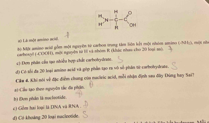 a) Là một amino acid.
b) Một amino acid gồm một nguyên tử carbon trung tâm liên kết một nhóm amino (-NH_2) một nh
carboxyl (-COOH), một nguyên tử H và nhóm R (khác nhau cho 20 loại aa).
c) Đơn phân cấu tạo nhiều hợp chất carbohydrate.
d) Có tối đa 20 loại amino acid và góp phần tạo ra vô số phân tử carbohydrate.
Câu 4. Khi nói về đặc điểm chung của nucleic acid, mỗi nhận định sau đây Đúng hay Sai?
a) Cấu tạo theo nguyên tắc đa phân.
b) Đơn phân là nucleotide.
c) Gồm hai loại là DNA và RNA .
d) Có khoảng 20 loại nucleotide.