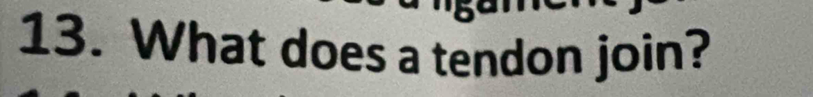 What does a tendon join?