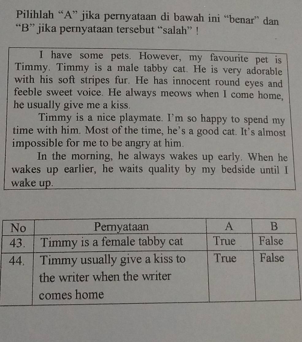 Pilihlah “A” jika pernyataan di bawah ini “benar” dan
“B” jika pernyataan tersebut “salah” !
I have some pets. However, my favourite pet is
Timmy. Timmy is a male tabby cat. He is very adorable
with his soft stripes fur. He has innocent round eyes and
feeble sweet voice. He always meows when I come home,
he usually give me a kiss.
Timmy is a nice playmate. I’m so happy to spend my
time with him. Most of the time, he’s a good cat. It’s almost
impossible for me to be angry at him.
In the morning, he always wakes up early. When he
wakes up earlier, he waits quality by my bedside until I
wake up.