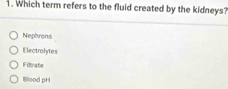 Which term refers to the fluid created by the kidneys?
Nephrons
Electrolytes
Filtrate
Blood pH