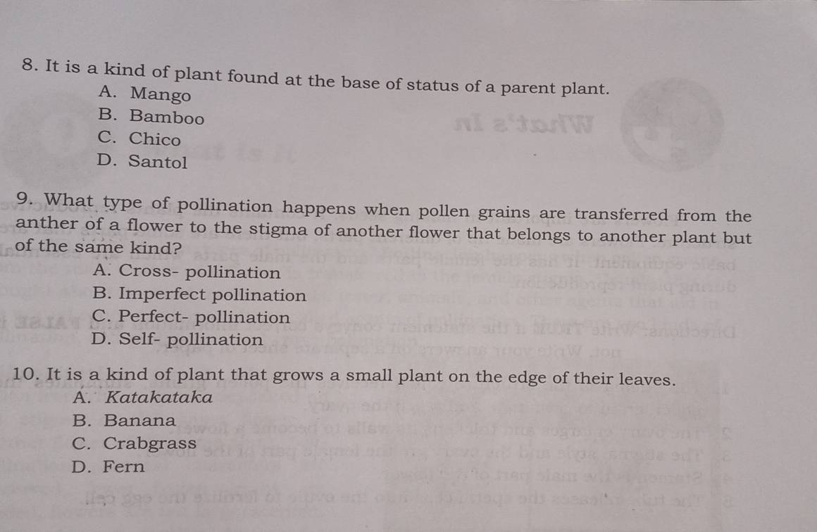 It is a kind of plant found at the base of status of a parent plant.
A. Mango
B. Bamboo
C. Chico
D. Santol
9. What type of pollination happens when pollen grains are transferred from the
anther of a flower to the stigma of another flower that belongs to another plant but
of the same kind?
A. Cross- pollination
B. Imperfect pollination
C. Perfect- pollination
D. Self- pollination
10. It is a kind of plant that grows a small plant on the edge of their leaves.
A. Katakataka
B. Banana
C. Crabgrass
D. Fern