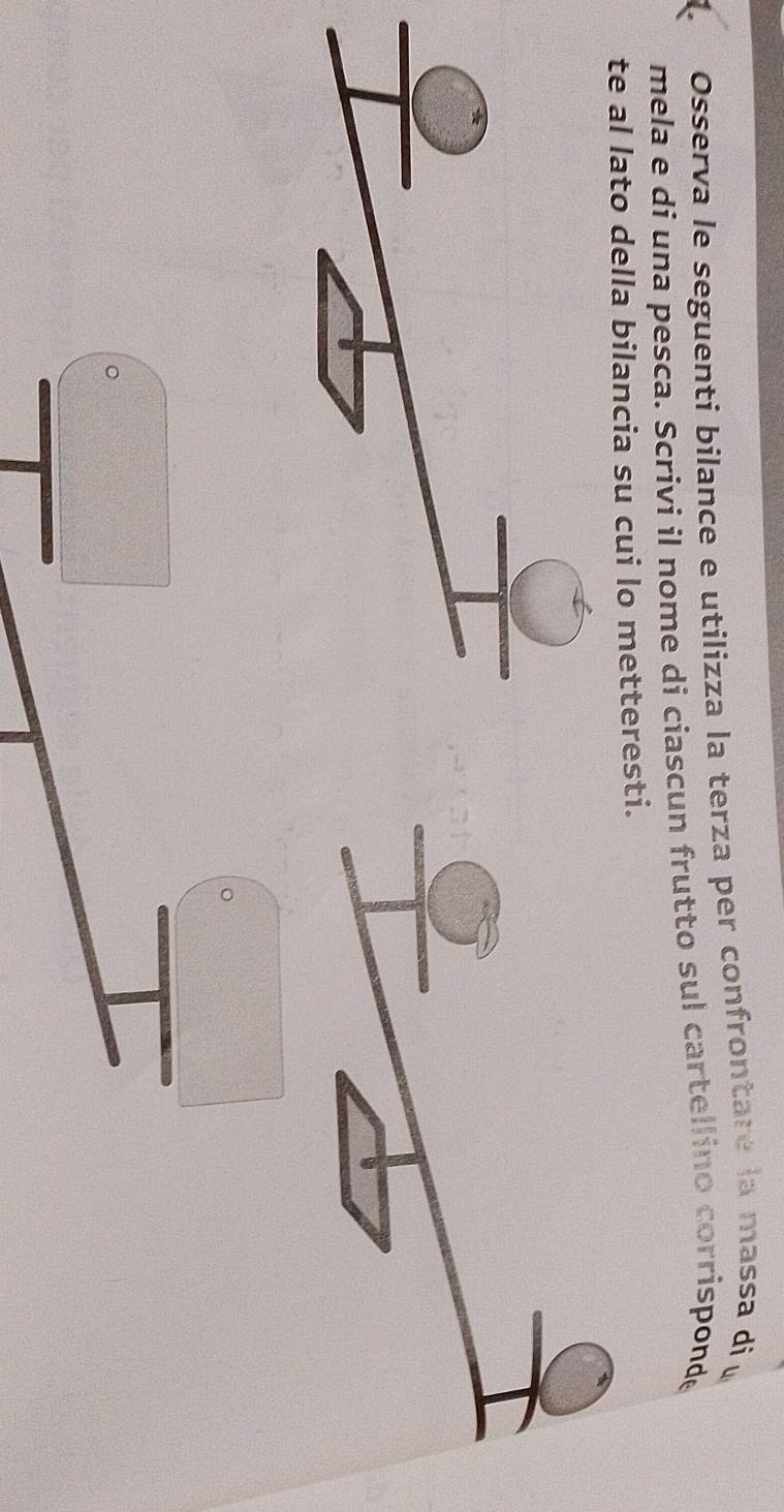 Osserva le seguenti bilance e utilizza la terza per confrontare la massa di 
mela e dí una pesca. Scrivi il nome di ciascun frutto sul cartellino corrisponde 
te al lato della bilancia su cui lo metteresti.