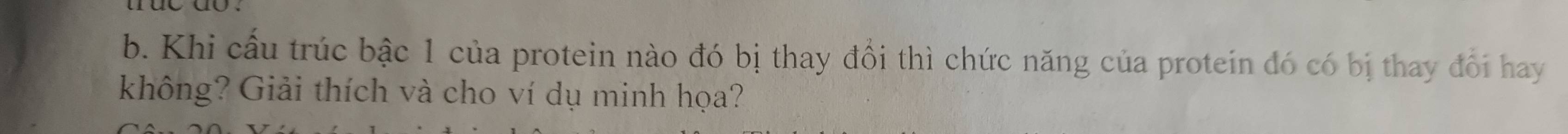 Khi cầu trúc bậc 1 của protein nào đó bị thay đổi thì chức năng của protein đó có bị thay đổi hay 
không? Giải thích và cho ví dụ minh họa?
