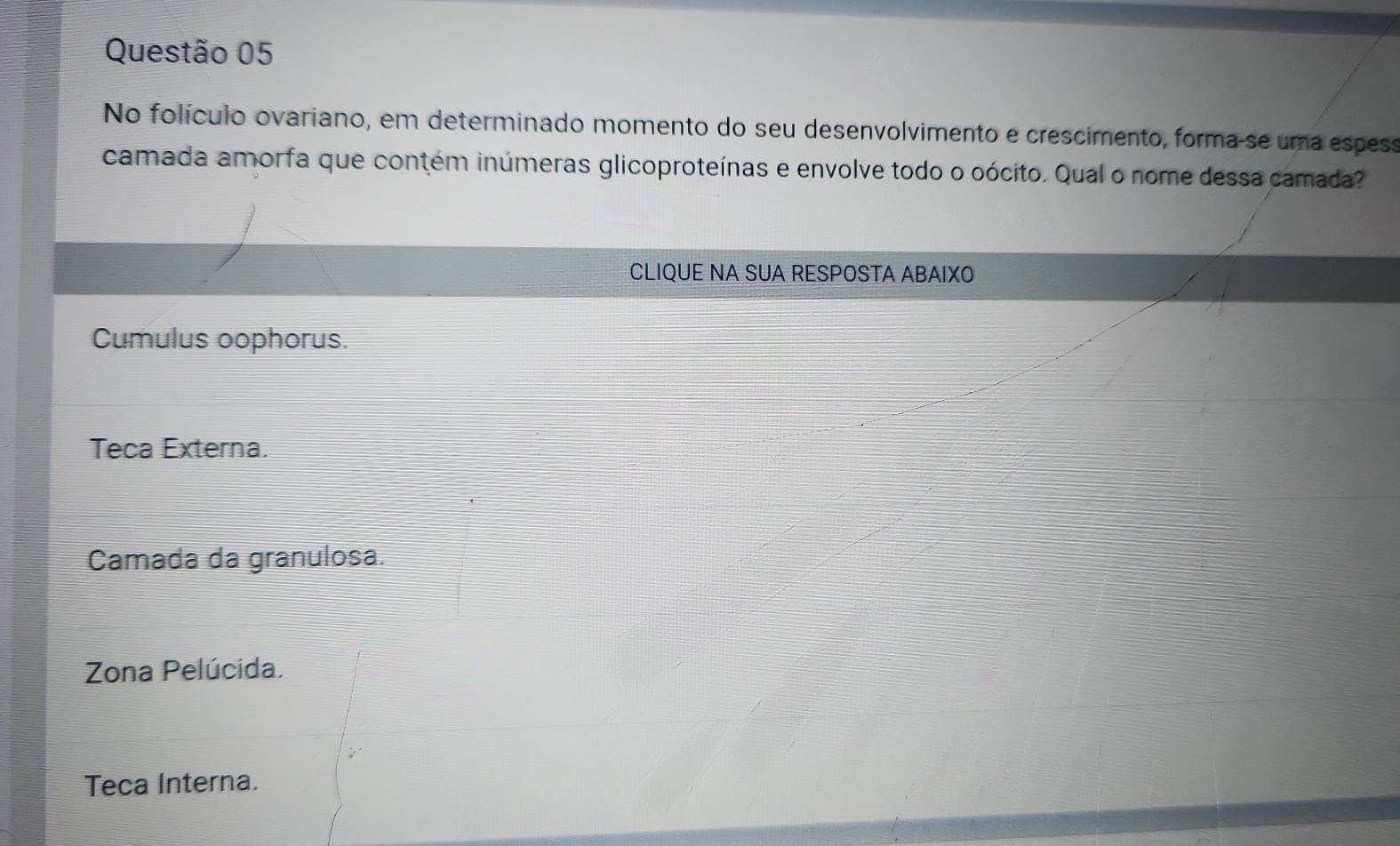 No folículo ovariano, em determinado momento do seu desenvolvimento e crescimento, forma-se uma espess
camada amorfa que contém inúmeras glicoproteínas e envolve todo o oócito. Qual o nome dessa camada?
CLIQUE NA SUA RESPOSTA ABAIXO
Cumulus oophorus.
Teca Externa.
Camada da granulosa.
Zona Pelúcida.
Teca Interna.