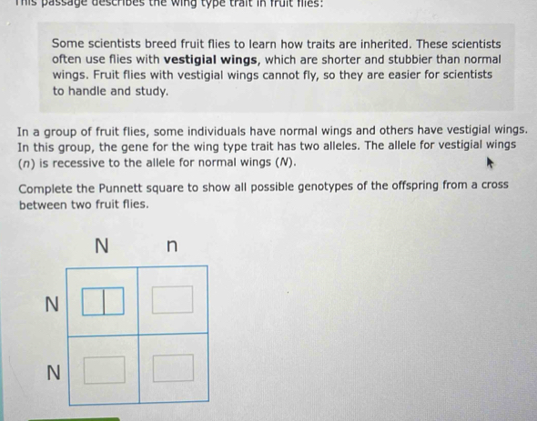 Tis passage describes the wing type trait in fruit flles: 
Some scientists breed fruit flies to learn how traits are inherited. These scientists 
often use flies with vestigial wings, which are shorter and stubbier than normal 
wings. Fruit flies with vestigial wings cannot fly, so they are easier for scientists 
to handle and study. 
In a group of fruit flies, some individuals have normal wings and others have vestigial wings. 
In this group, the gene for the wing type trait has two alleles. The allele for vestigial wings 
(n) is recessive to the allele for normal wings (N). 
Complete the Punnett square to show all possible genotypes of the offspring from a cross 
between two fruit flies.