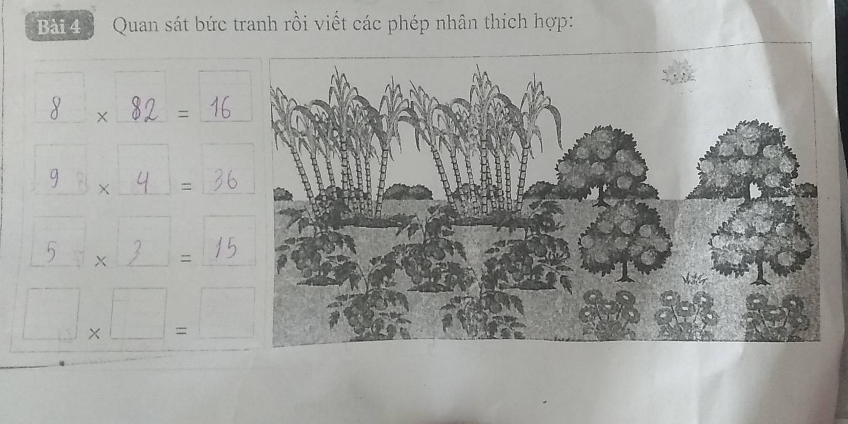 Quan sát bức tranh rồi viết các phép nhân thích hợp:
8 x 82 = 16
9 × 4 = 3
5 × 2 = 15
□ * □ =□