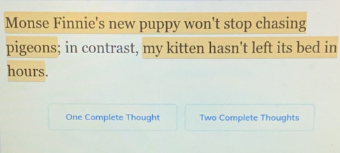 Monse Finnie's new puppy won't stop chasing 
pigeons; in contrast, my kitten hasn't left its bed in
hours. 
One Complete Thought Two Complete Thoughts