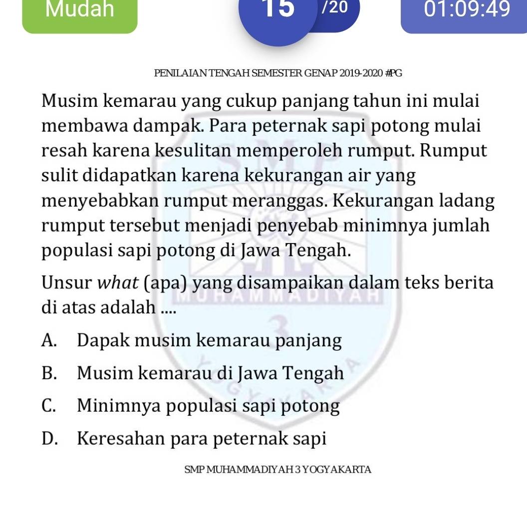 Mudah 15 /20 01:09:49 
PENILAIAN TENGAH SEMESTER GENAP 2019-2020 #G
Musim kemarau yang cukup panjang tahun ini mulai
membawa dampak. Para peternak sapi potong mulai
resah karena kesulitan memperoleh rumput. Rumput
sulit didapatkan karena kekurangan air yang
menyebabkan rumput meranggas. Kekurangan ladang
rumput tersebut menjadi penyebab minimnya jumlah
populasi sapi potong di Jawa Tengah.
Unsur what (apa) yang disampaikan dalam teks berita
di atas adalah ....
A. Dapak musim kemarau panjang
B. Musim kemarau di Jawa Tengah
C. Minimnya populasi sapi potong
D. Keresahan para peternak sapi
SMP MUHAMMADIYAH 3 YOGYAKARTA