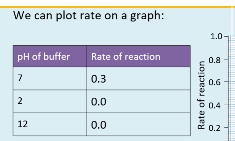 We can plot rate on a graph:
1.0
0.8
0.6
0.4
0.2